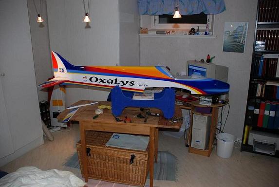 ox4.JPG